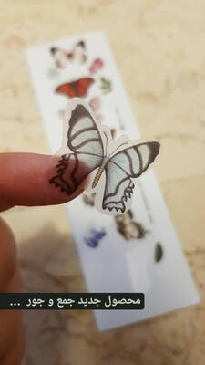 استیکر شفاف پروانه
