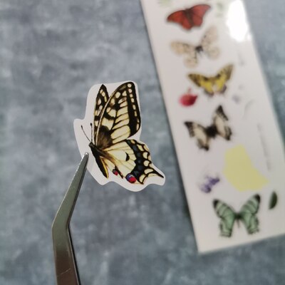 استیکر سفید پروانه